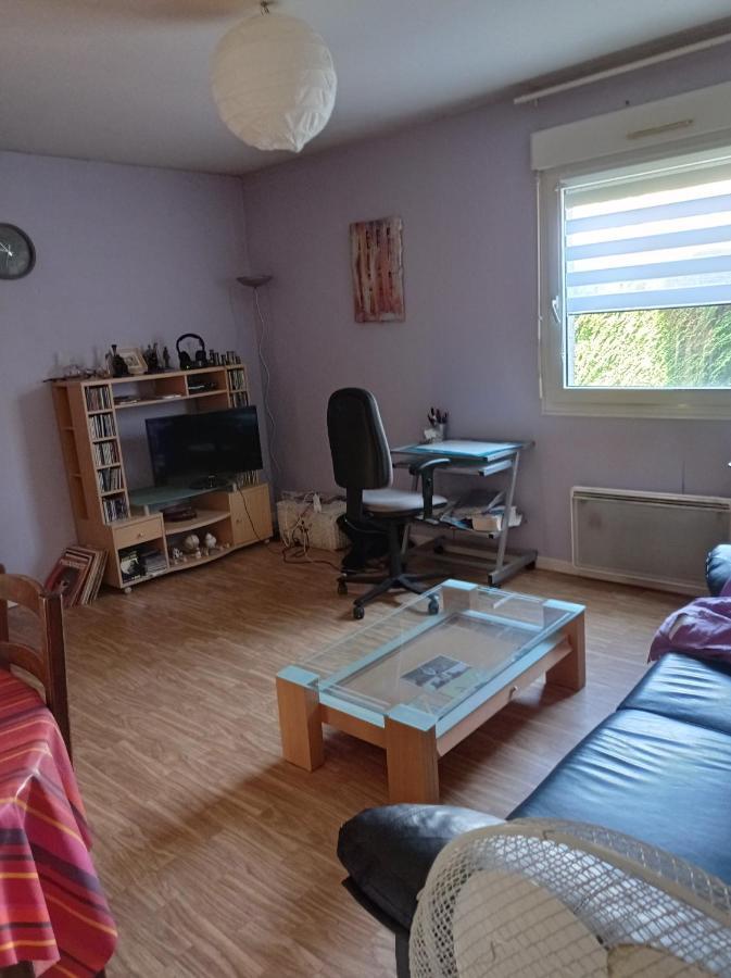 Chambre Chez L'Habitant Saint-Die-des-Vosges 外观 照片
